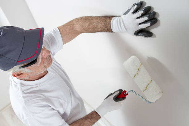 Best Drywall Crack Repair  in Moravian Falls, NC