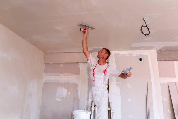 Best Fire-Damaged Drywall Repair  in Moravian Falls, NC